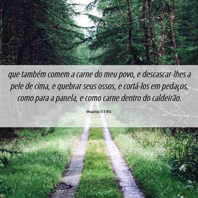 Picture 06 - Miquéias 3:3 BSL - que também comem a carne do meu povo, e - Bible Verse Picture