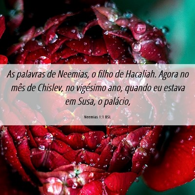 Picture 06 - Neemias 1:1 BSL - As palavras de Neemias, o filho de Hacaliah. - Bible Verse Picture