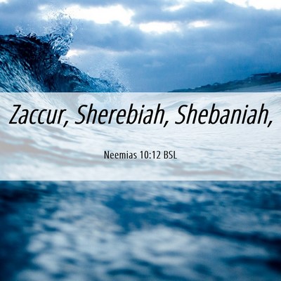 Picture 06 - Neemias 10:12 BSL - Zaccur, Sherebiah, - Bible Verse Picture