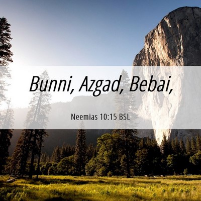 Picture 06 - Neemias 10:15 BSL - Bunni, Azgad, - Bible Verse Picture