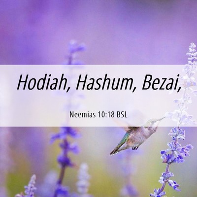 Picture 06 - Neemias 10:18 BSL - Hodiah, Hashum, - Bible Verse Picture