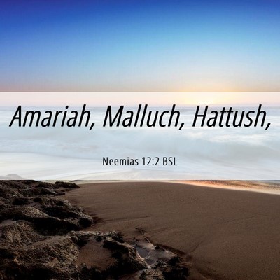 Picture 06 - Neemias 12:2 BSL - Amariah, Malluch, - Bible Verse Picture