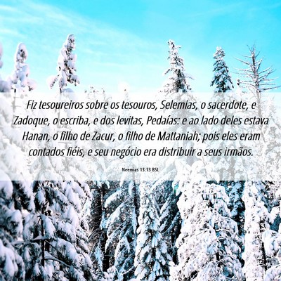 Picture 06 - Neemias 13:13 BSL - Fiz tesoureiros sobre os tesouros, Selemias, o - Bible Verse Picture