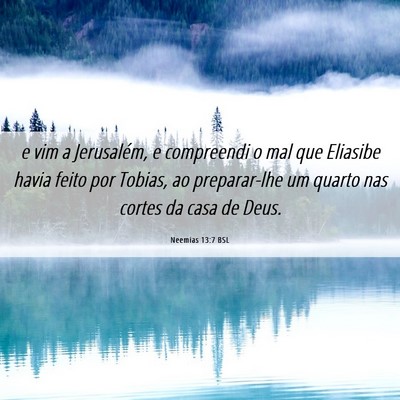 Picture 06 - Neemias 13:7 BSL - e vim a Jerusalém, e compreendi o mal que - Bible Verse Picture