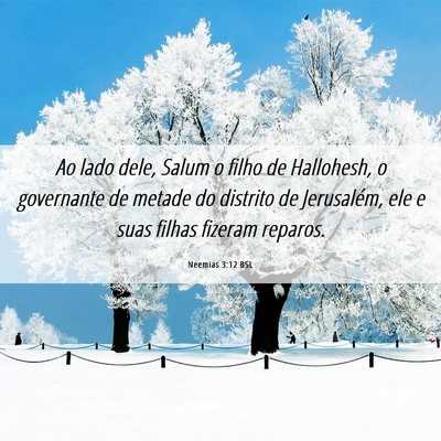 Picture 06 - Neemias 3:12 BSL - Ao lado dele, Salum o filho de Hallohesh, o - Bible Verse Picture