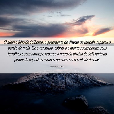 Picture 06 - Neemias 3:15 BSL - Shallun o filho de Colhozeh, o governante do - Bible Verse Picture