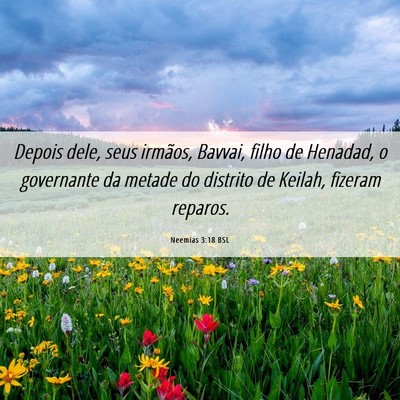 Picture 06 - Neemias 3:18 BSL - Depois dele, seus irmãos, Bavvai, filho de - Bible Verse Picture