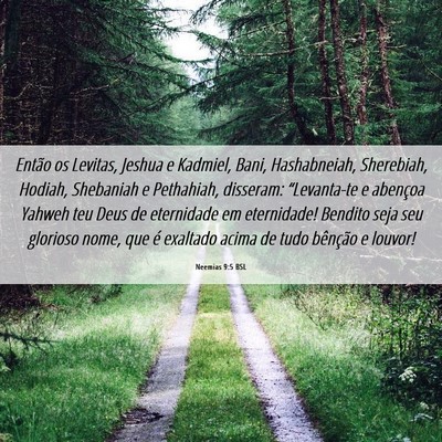 Picture 06 - Neemias 9:5 BSL - Então os Levitas, Jeshua e Kadmiel, Bani, - Bible Verse Picture