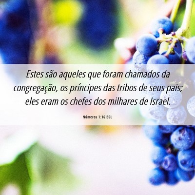 Picture 06 - Números 1:16 BSL - Estes são aqueles que foram chamados da - Bible Verse Picture