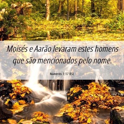 Picture 06 - Números 1:17 BSL - Moisés e Aarão levaram estes homens que são - Bible Verse Picture