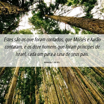 Picture 06 - Números 1:44 BSL - Estes são os que foram contados, que Moisés e - Bible Verse Picture