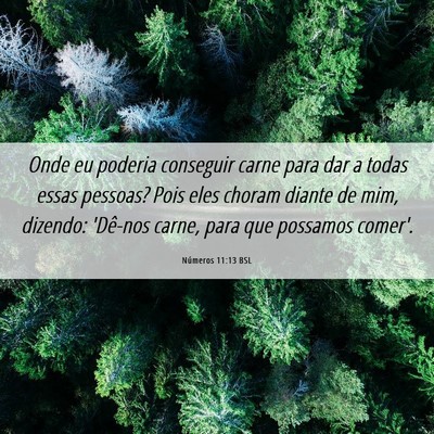 Picture 06 - Números 11:13 BSL - Onde eu poderia conseguir carne para dar a todas - Bible Verse Picture