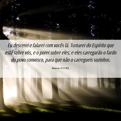 Picture 06 - Números 11:17 BSL - Eu descerei e falarei com vocês lá. Tomarei do - Bible Verse Picture