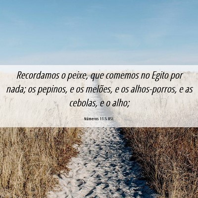 Picture 06 - Números 11:5 BSL - Recordamos o peixe, que comemos no Egito por - Bible Verse Picture