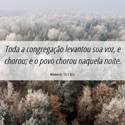 Picture 06 - Números 14:1 BSL - Toda a congregação levantou sua voz, e chorou; - Bible Verse Picture