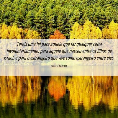 Picture 06 - Números 15:29 BSL - Tereis uma lei para aquele que faz qualquer coisa - Bible Verse Picture
