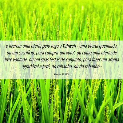 Picture 06 - Números 15:3 BSL - e fizerem uma oferta pelo fogo a Yahweh - uma - Bible Verse Picture