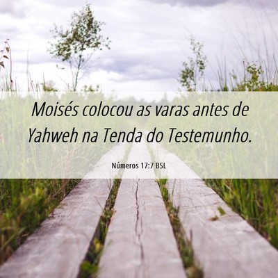 Picture 06 - Números 17:7 BSL - Moisés colocou as varas antes de Yahweh na Tenda - Bible Verse Picture