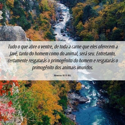 Picture 06 - Números 18:15 BSL - Tudo o que abre o ventre, de toda a carne que - Bible Verse Picture