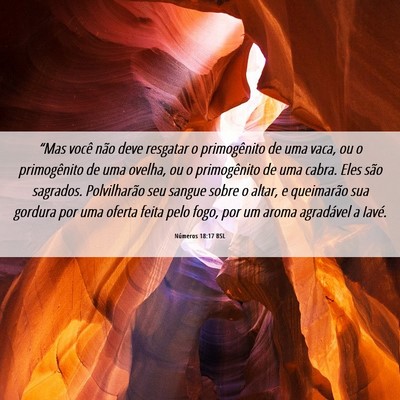 Picture 06 - Números 18:17 BSL - “Mas você não deve resgatar o primogênito de - Bible Verse Picture