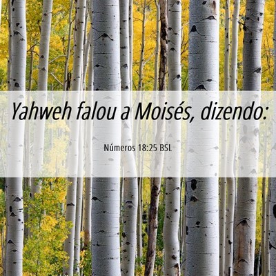 Picture 06 - Números 18:25 BSL - Yahweh falou a Moisés, - Bible Verse Picture