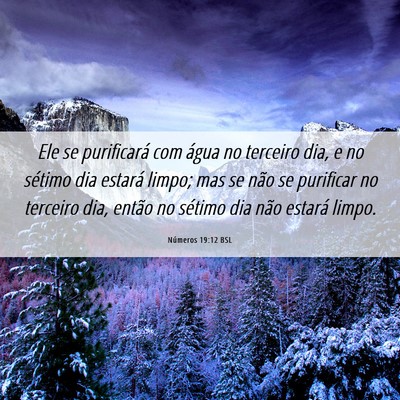 Picture 06 - Números 19:12 BSL - Ele se purificará com água no terceiro dia, e - Bible Verse Picture