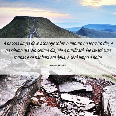 Picture 06 - Números 19:19 BSL - A pessoa limpa deve aspergir sobre o impuro no - Bible Verse Picture