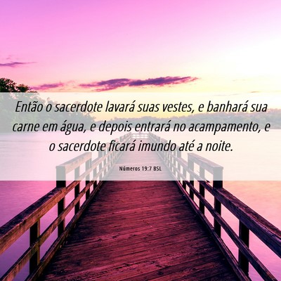 Picture 06 - Números 19:7 BSL - Então o sacerdote lavará suas vestes, e - Bible Verse Picture