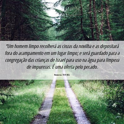 Picture 06 - Números 19:9 BSL - “Um homem limpo recolherá as cinzas da novilha - Bible Verse Picture