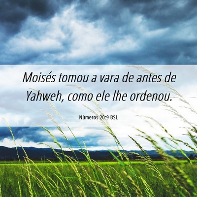 Picture 06 - Números 20:9 BSL - Moisés tomou a vara de antes de Yahweh, como ele - Bible Verse Picture