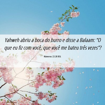 Picture 06 - Números 22:28 BSL - Yahweh abriu a boca do burro e disse a Balaam: - Bible Verse Picture