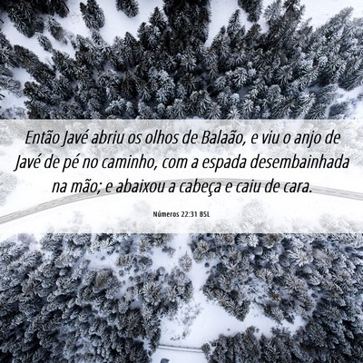 Picture 06 - Números 22:31 BSL - Então Javé abriu os olhos de Balaão, e viu o - Bible Verse Picture