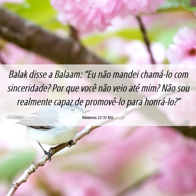 Picture 06 - Números 22:37 BSL - Balak disse a Balaam: “Eu não mandei chamá-lo - Bible Verse Picture
