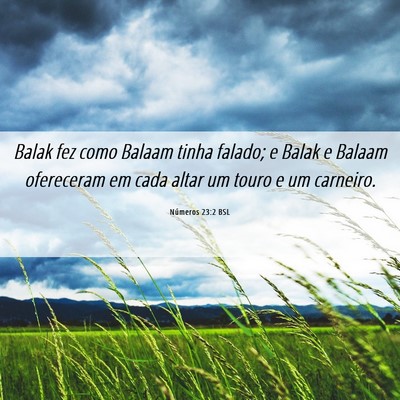 Picture 06 - Números 23:2 BSL - Balak fez como Balaam tinha falado; e Balak e - Bible Verse Picture