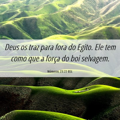 Picture 06 - Números 23:22 BSL - Deus os traz para fora do Egito. Ele tem como que - Bible Verse Picture