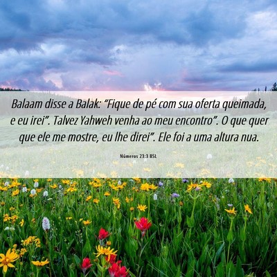Picture 06 - Números 23:3 BSL - Balaam disse a Balak: “Fique de pé com sua - Bible Verse Picture