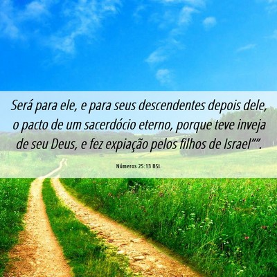 Picture 06 - Números 25:13 BSL - Será para ele, e para seus descendentes depois - Bible Verse Picture