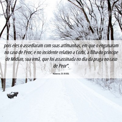 Picture 06 - Números 25:18 BSL - pois eles o assediaram com suas artimanhas, em - Bible Verse Picture