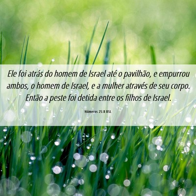 Picture 06 - Números 25:8 BSL - Ele foi atrás do homem de Israel até o - Bible Verse Picture