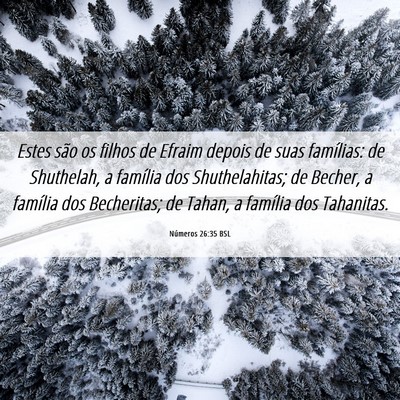Picture 06 - Números 26:35 BSL - Estes são os filhos de Efraim depois de suas - Bible Verse Picture