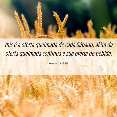Picture 06 - Números 28:10 BSL - this é a oferta queimada de cada Sábado, além - Bible Verse Picture
