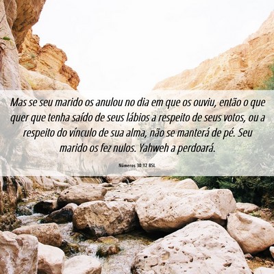 Picture 06 - Números 30:12 BSL - Mas se seu marido os anulou no dia em que os - Bible Verse Picture