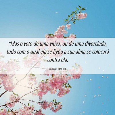 Picture 06 - Números 30:9 BSL - “Mas o voto de uma viúva, ou de uma - Bible Verse Picture