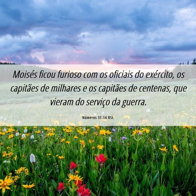 Picture 06 - Números 31:14 BSL - Moisés ficou furioso com os oficiais do - Bible Verse Picture