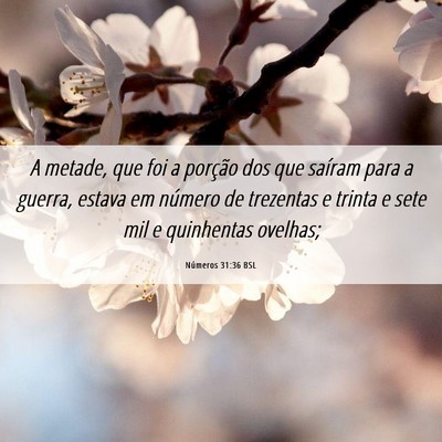 Picture 06 - Números 31:36 BSL - A metade, que foi a porção dos que saíram para - Bible Verse Picture