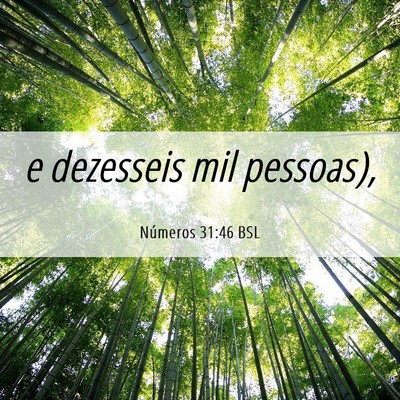 Picture 06 - Números 31:46 BSL - e dezesseis mil - Bible Verse Picture