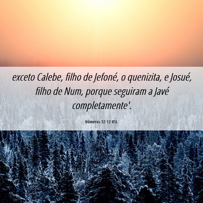 Picture 06 - Números 32:12 BSL - exceto Calebe, filho de Jefoné, o quenizita, e - Bible Verse Picture