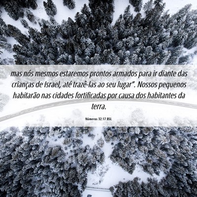 Picture 06 - Números 32:17 BSL - mas nós mesmos estaremos prontos armados para ir - Bible Verse Picture