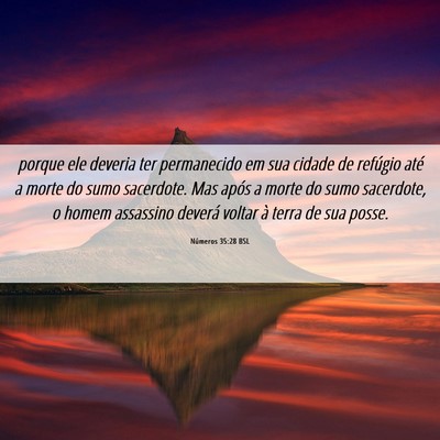 Picture 06 - Números 35:28 BSL - porque ele deveria ter permanecido em sua cidade - Bible Verse Picture