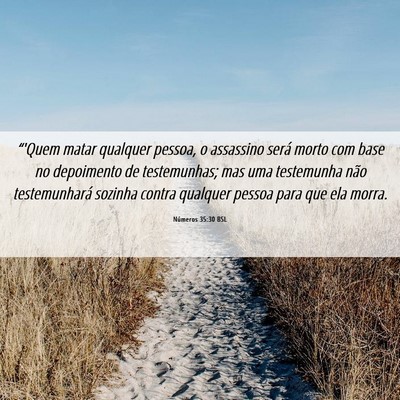 Picture 06 - Números 35:30 BSL - “'Quem matar qualquer pessoa, o assassino será - Bible Verse Picture